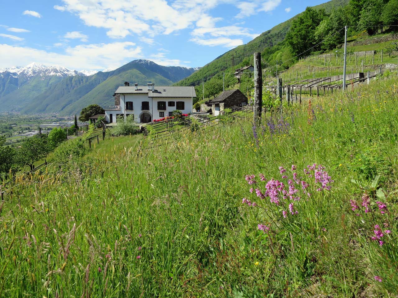 Randonnee Avec L Initiative Des Alpes Inscrivez Vous Maintenant